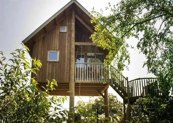Unieke boomhutten op 4 meter hoogte met uitzicht over de rivier de Regge op Vakantiepark Mölke.